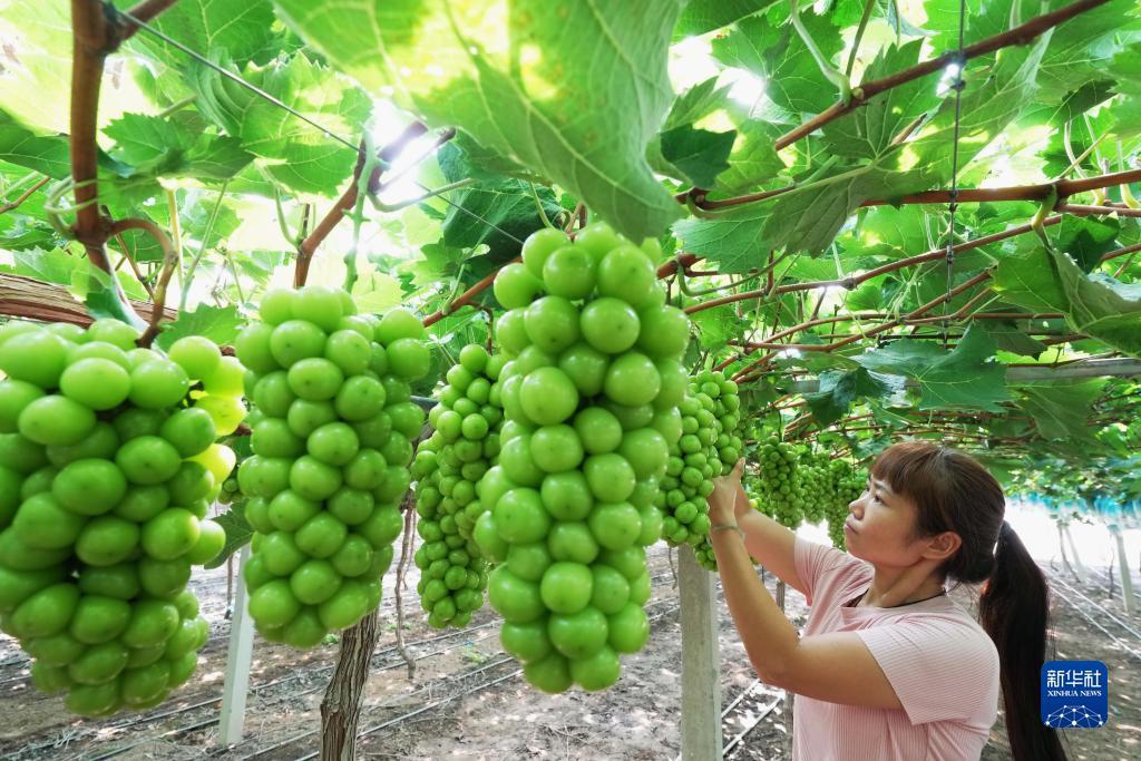 ag网络游戏